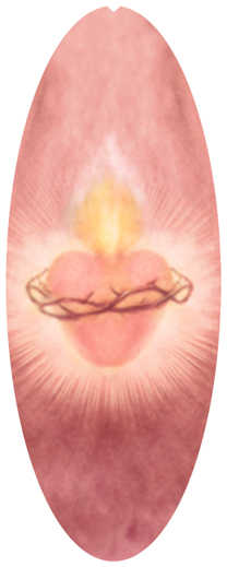 DNSA18-134-PK Heart Thorn Pink